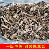 鹿茸菇鹿茸菌干货500g土特产